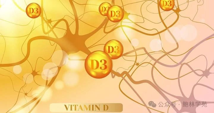 维生素 D 对维持心理和情绪健康的重要性