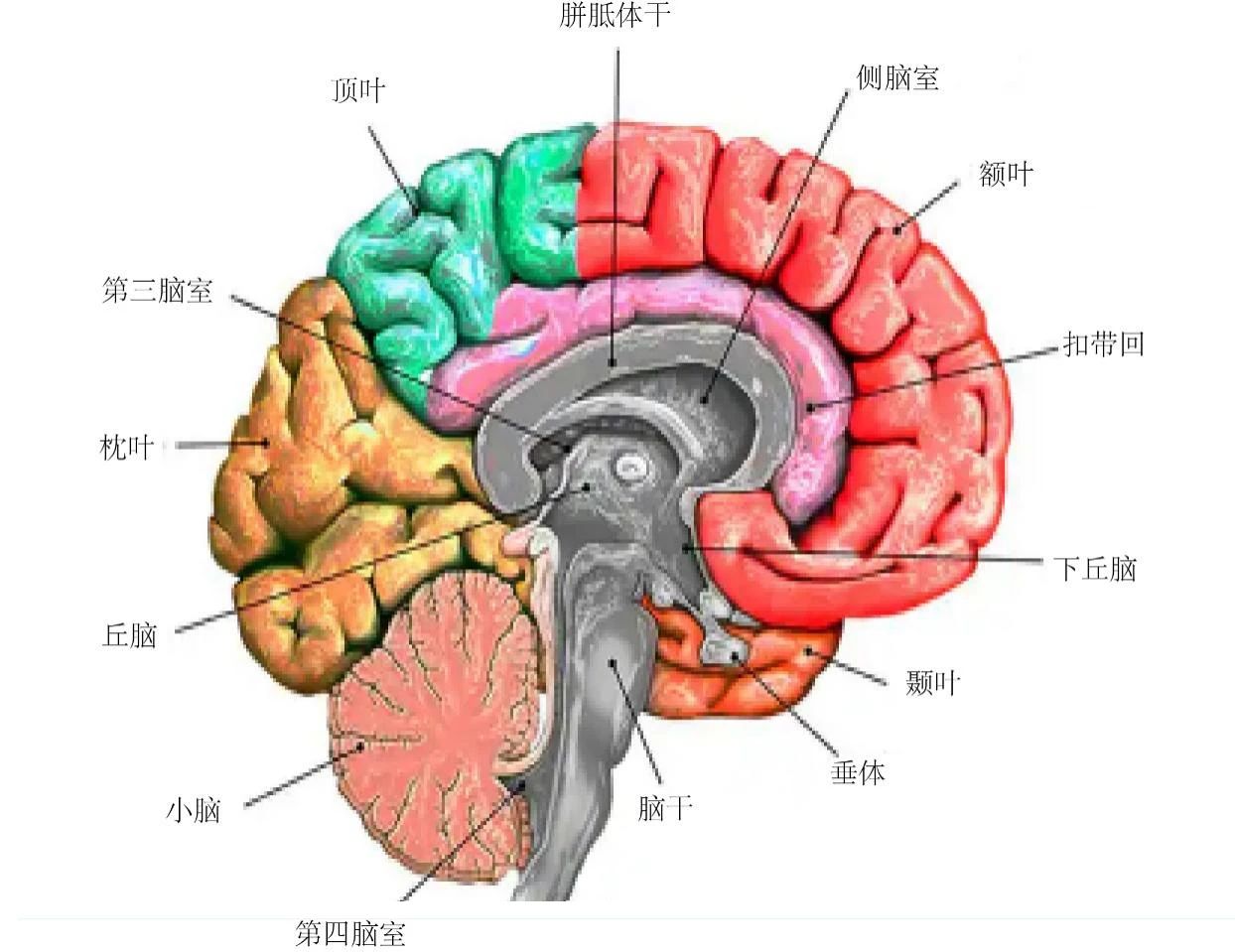 1-23091415545YI.jpg