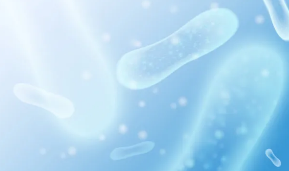 1-2310201JF34b.png