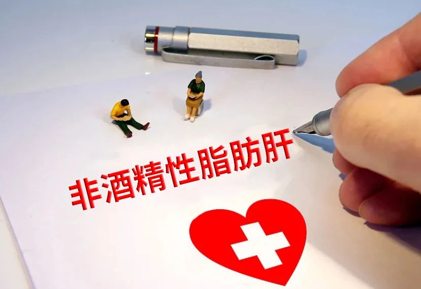 六大高风险人群，当心非酒精性脂肪肝上门
