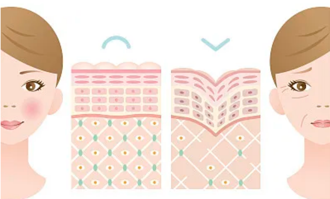 1-240515150F5A7.png