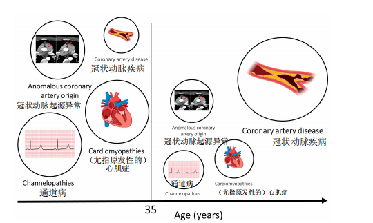 1-240F91509561P.png