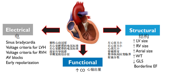 1-240F915140W10.png