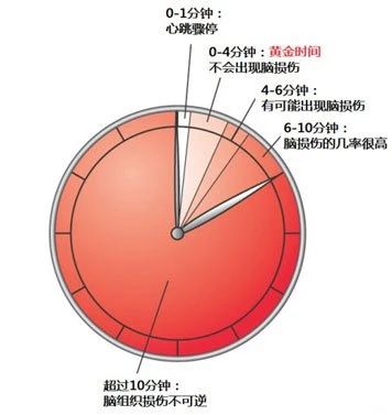 1-240F915163L61.jpg
