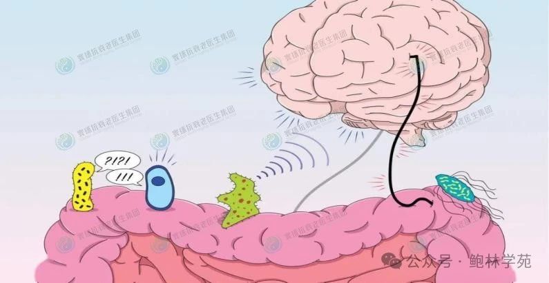 益生菌为抑郁症的干预提供新途径