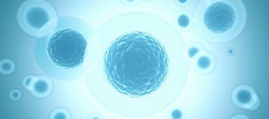 炎症衰老：细胞层面炎症衰老的关键特征和潜在机制