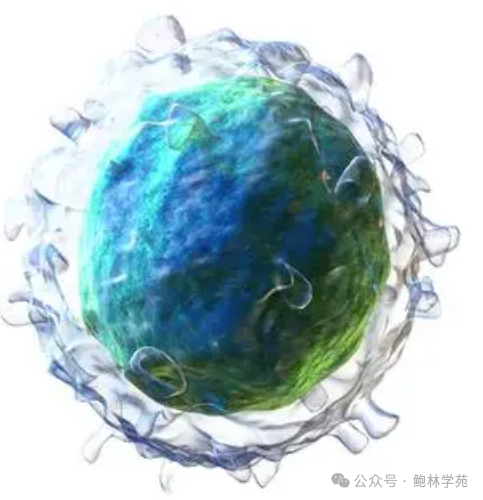 1-2410091031395N.png