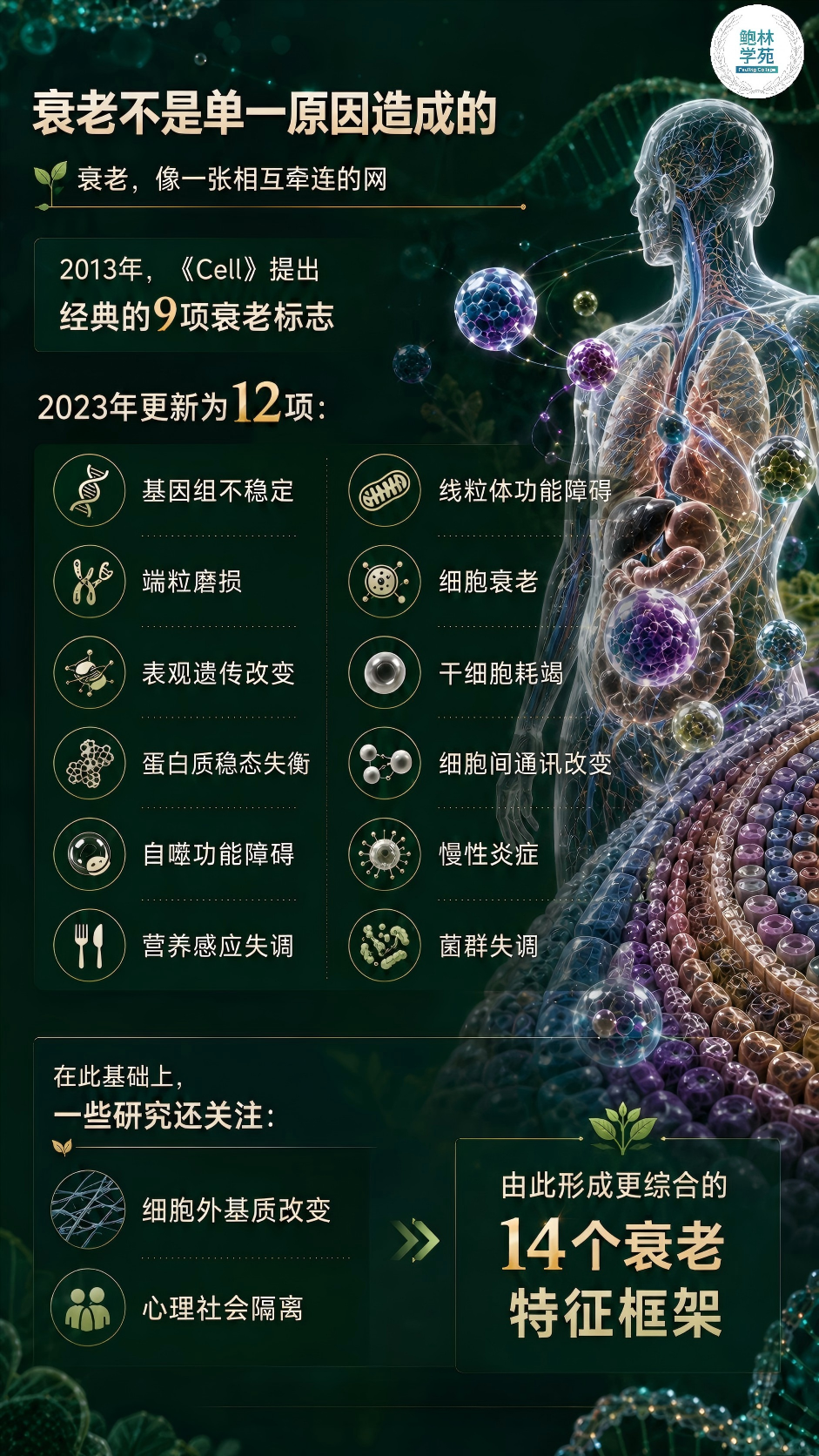 1-260H91H95U92.png