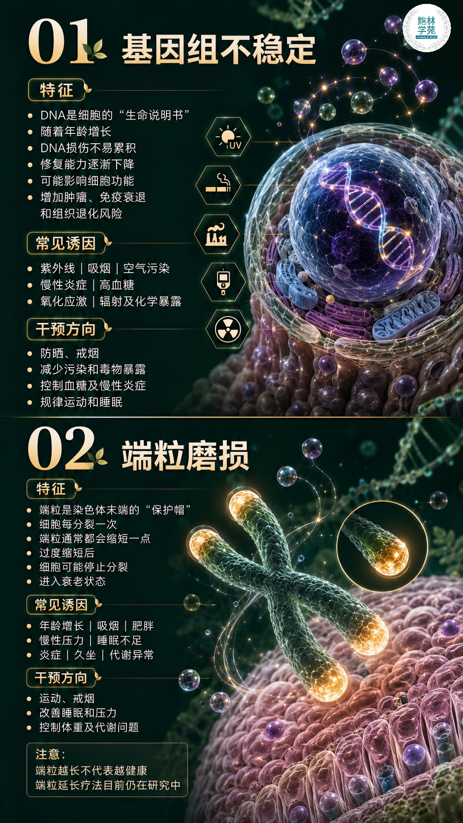1-260H91I00U20.png
