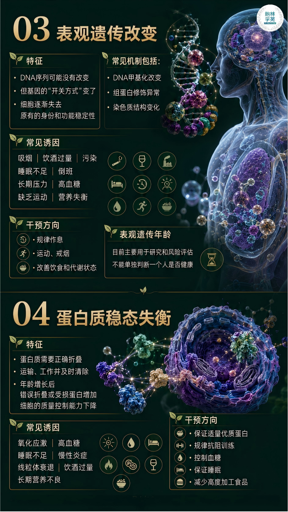 1-260H91I01Jb.png