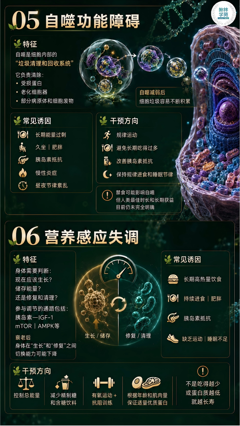 1-260H91I025302.png