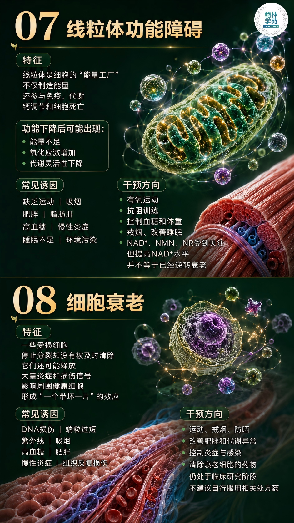 1-260H91I0355W.png
