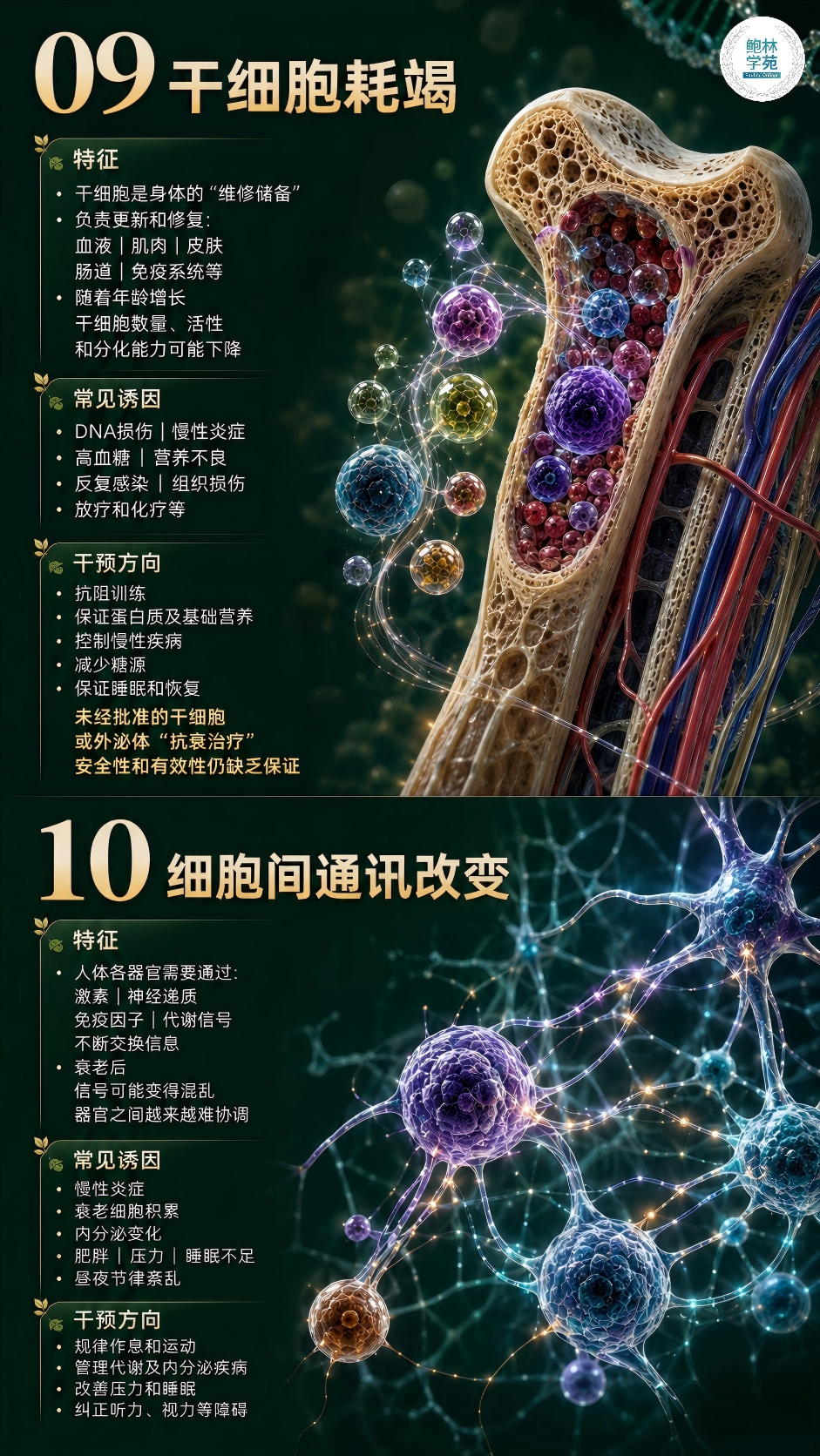 1-260H91I042Q0.png