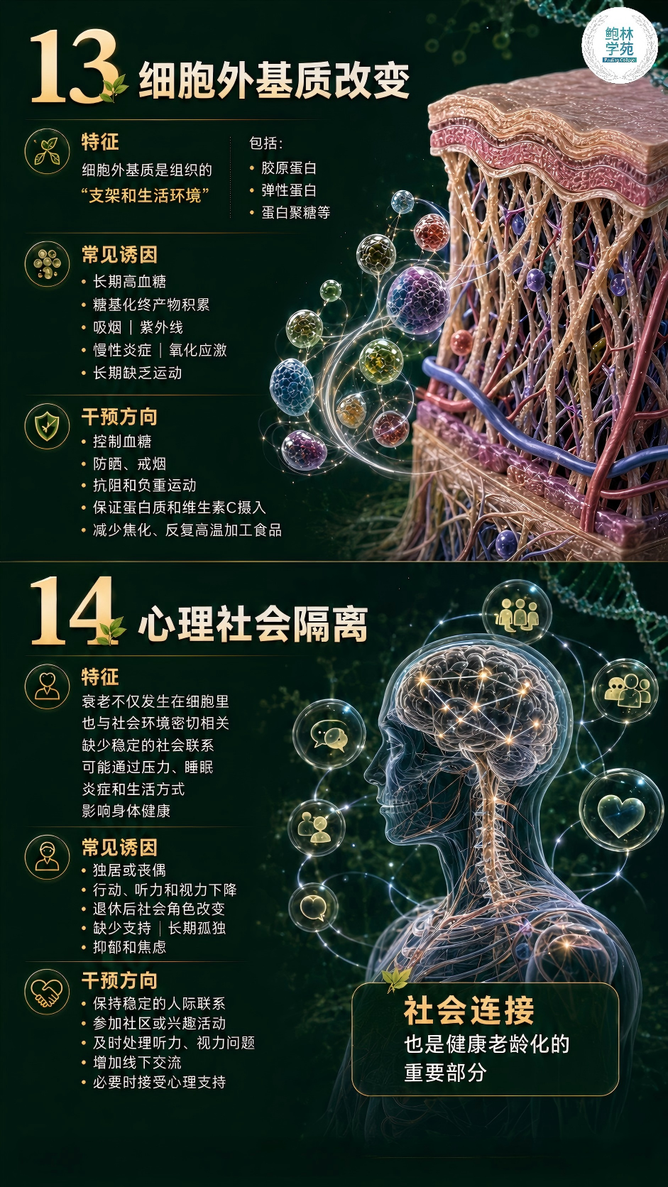 1-260H91I100515.png