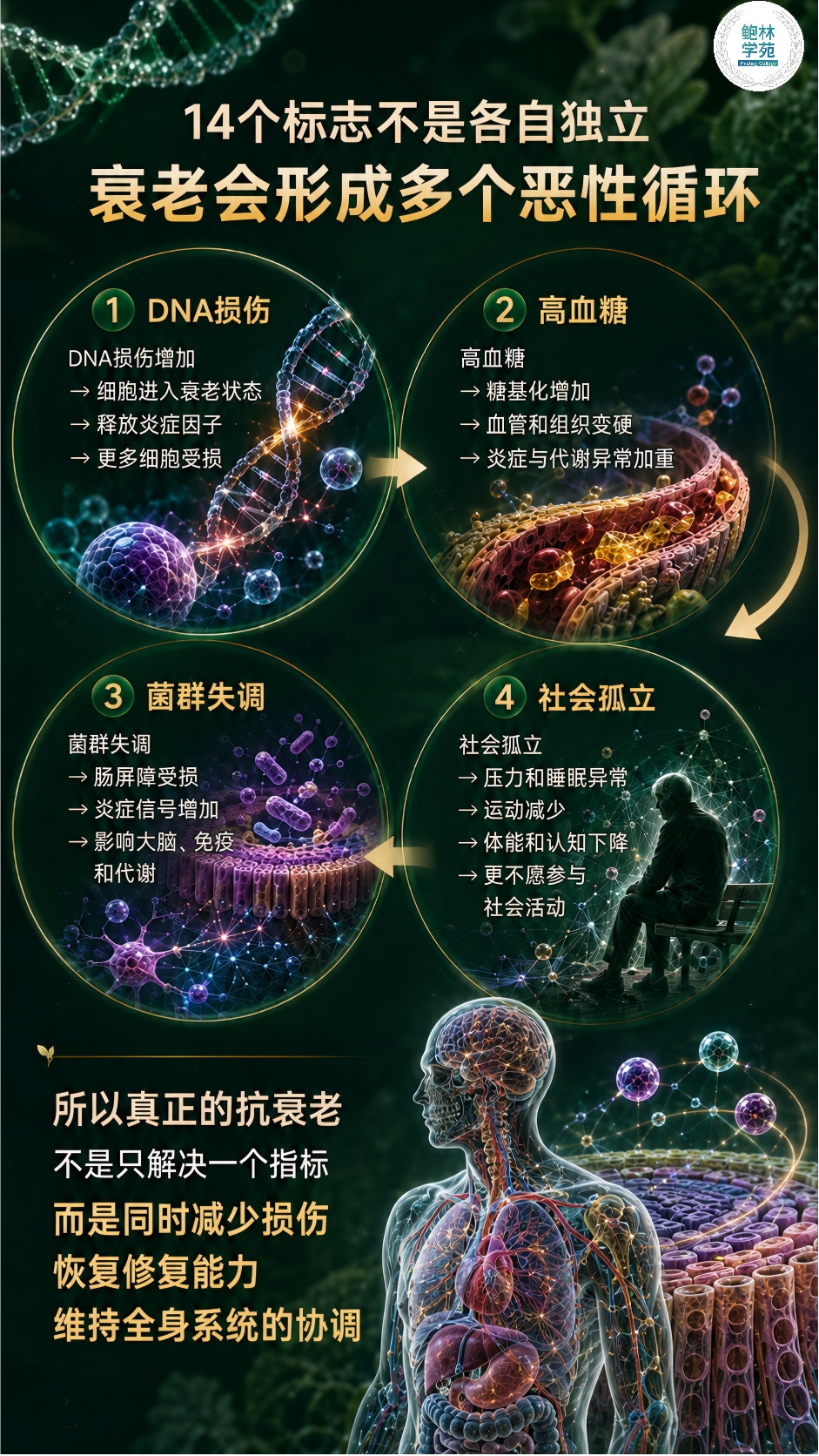 1-260H91I109639.png