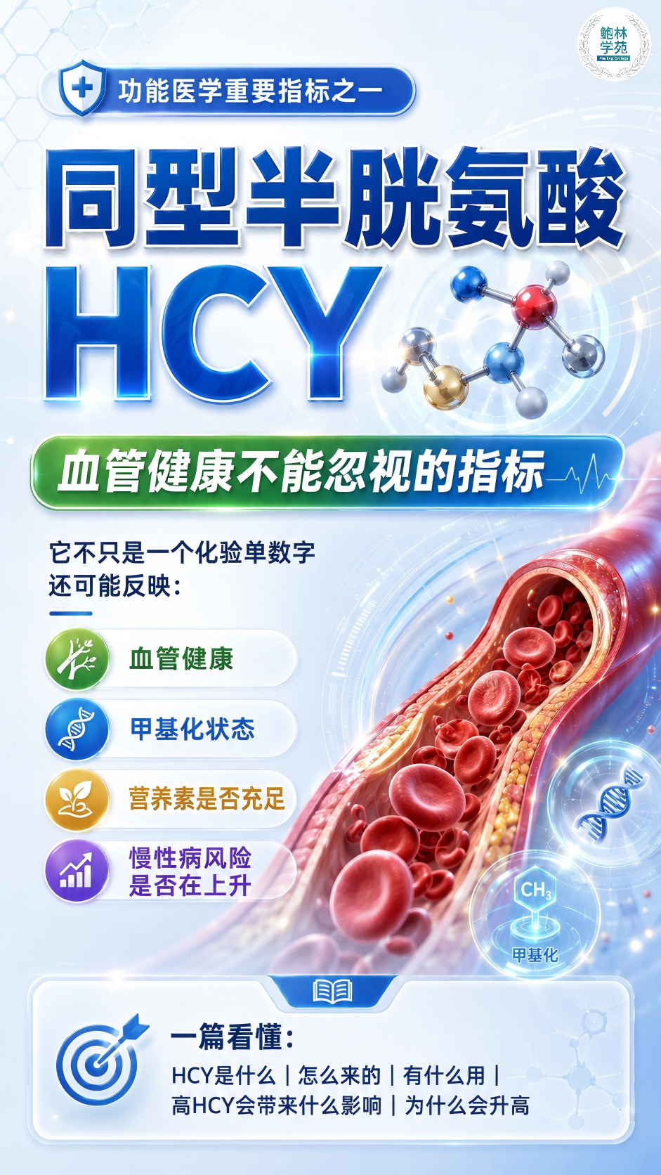 同型半胱氨酸HCY,血管健康不能忽视的指标